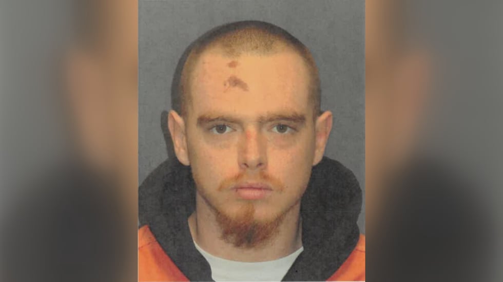 Dominique Lyon's mugshot pictured above.