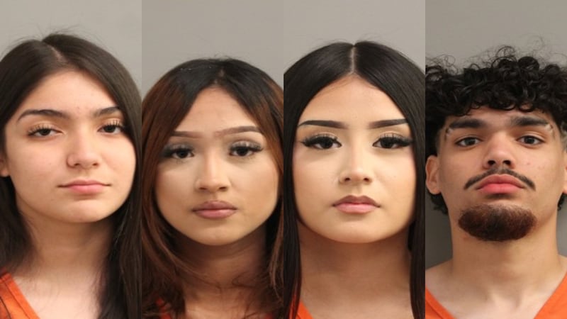 DE IZQUIERDA A DERECHA: Ashley Escobar, Yorleni Escobar, María Ramírez y Joaquín Hargraves