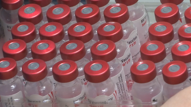 Rabies vaccine recall prompts revaccination for Wisconsin dogs