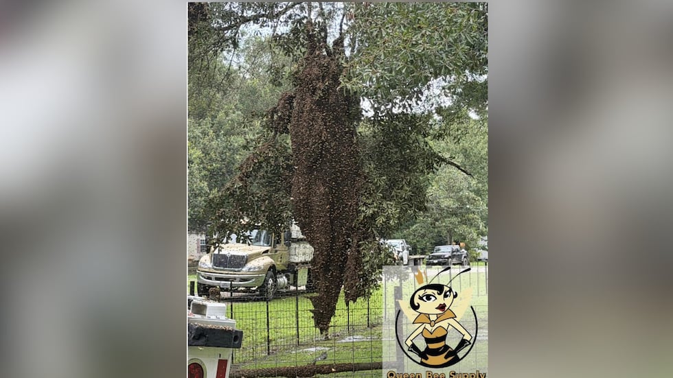 Photos shared online by Christie Ray of Queen Bee Supply show beekeepers and first responders...