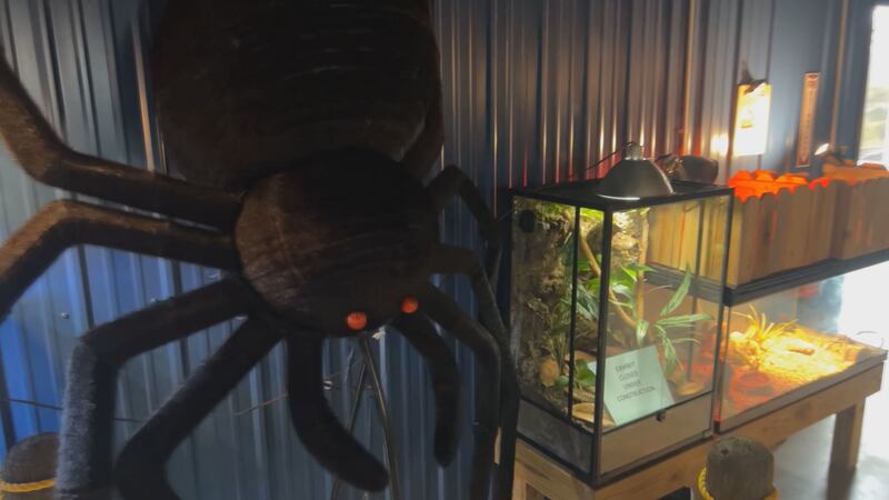 'Fish-or-Treat' le da al Acuario Medicine Park un toque de Halloween