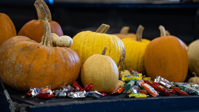 Pumpkins and candy set out for a Halloween event Oct. 31, 2024 Joe Foss Field, South Dakota....