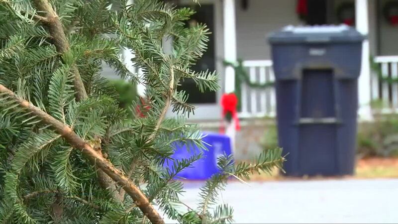 No habrá recogida de árboles de Navidad en la acera.