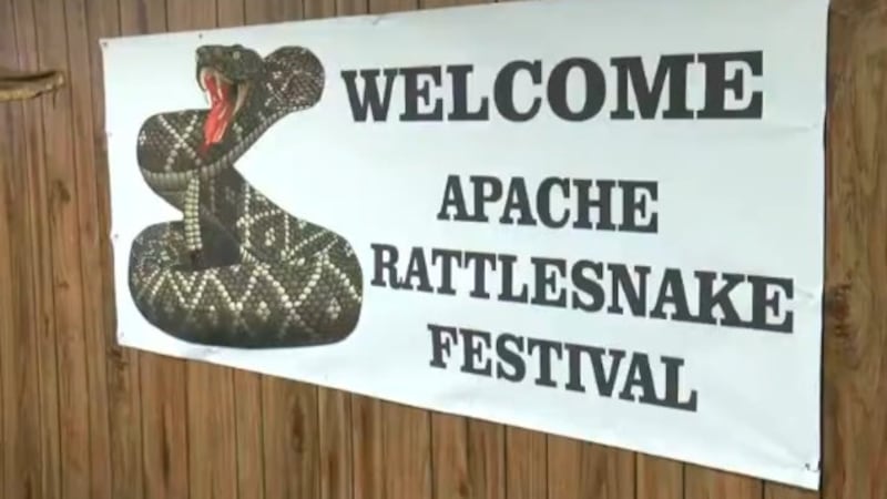The 42nd annual Apache Rattlesnake Festival is taking place April 16-19