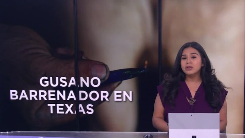 Noticias de Texas: Edición Digital