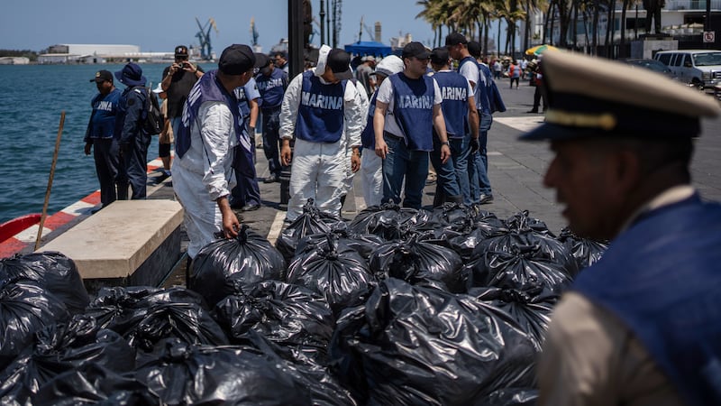Bolsas llenas de sargazo manchado de petróleo, recolectadas por marineros de la Armada...