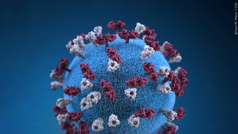 Credit: Allison M. Maiuri / CDC MGN Image Id: 566740