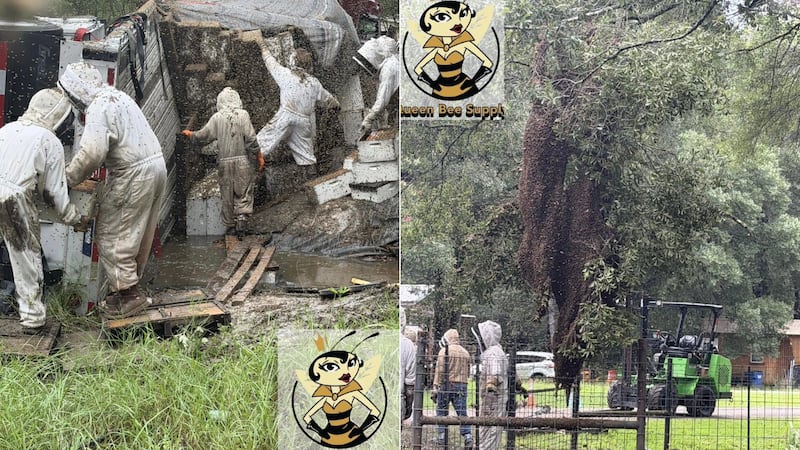 Photos shared online by Christie Ray of Queen Bee Supply show beekeepers and first responders...