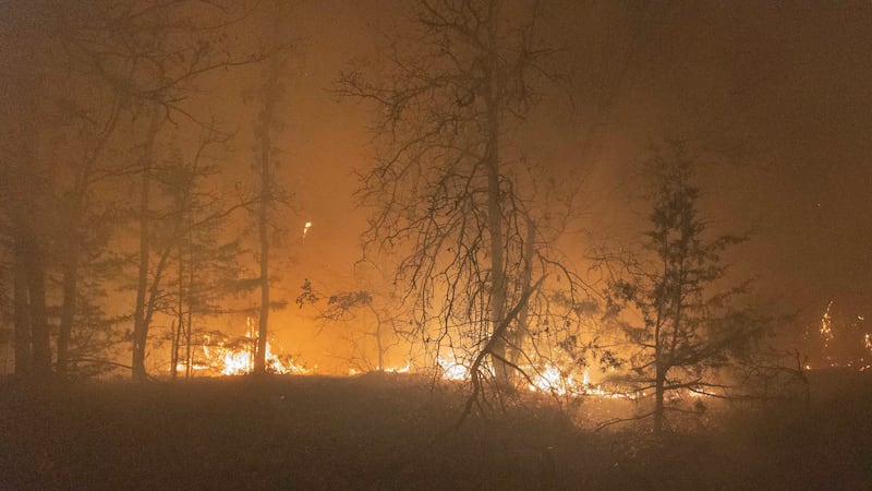 A wildfire spreads through trees Friday, March 14, 2025, south of Langston, Okla.