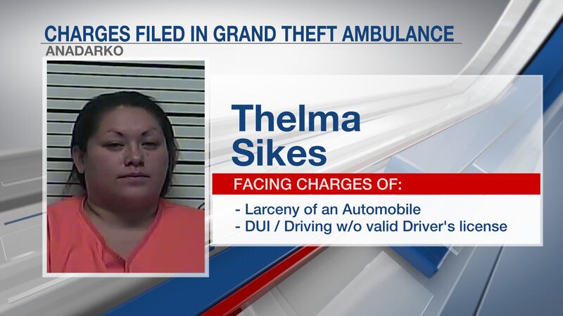 Thelma Sikes, de 34 años, se enfrenta a cuatro cargas totales, incluyendo hurto de...