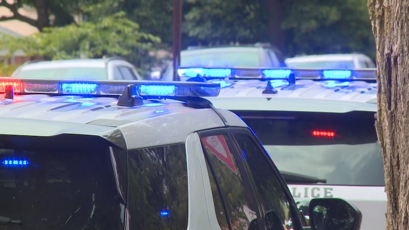 Toledo Police vehicles