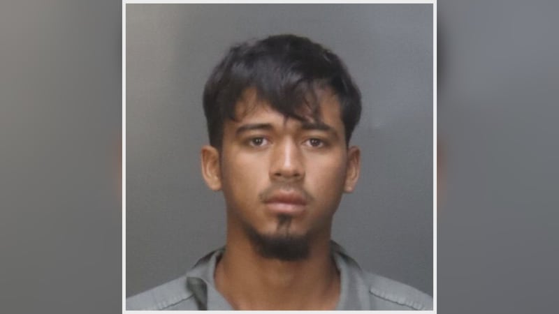 Joel Alexander Orellana Ramos