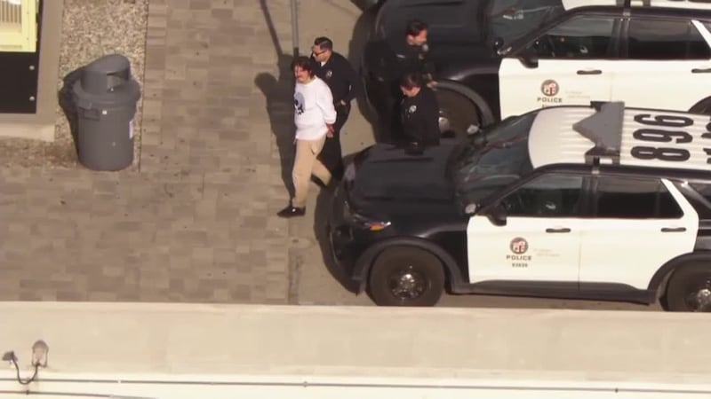 (KCAL, KCBS, SECURITY CAMERA VIDEO, CELL PHONE PHOTO, OBTAINED BY KCBS/KCAL)