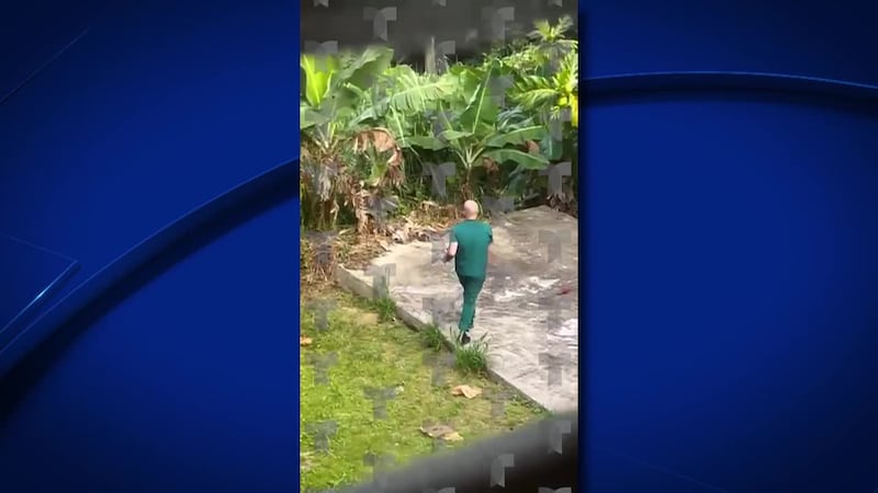 Vecinos escucharon gritos de dolor y grabaron a escondidas. Cuentan que vieron cómo un...