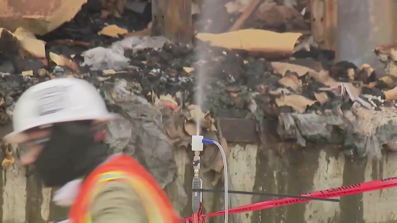 Vecinos se mantienen en alerta tras invasión de moscas y roedores luego que bodega de...